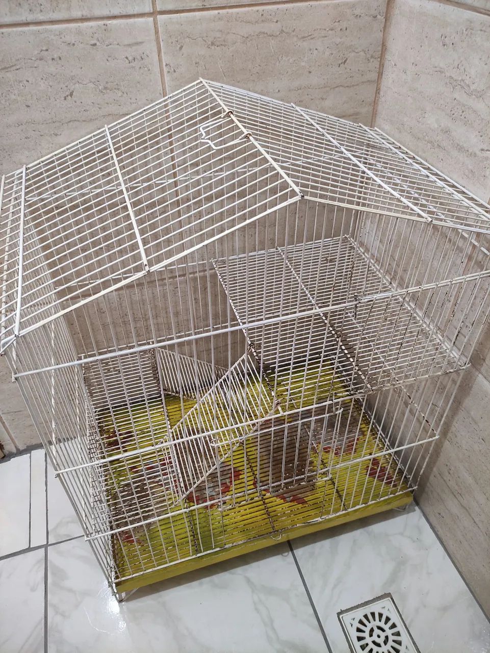 Gaiola + acessórios para roedores - Foto 2