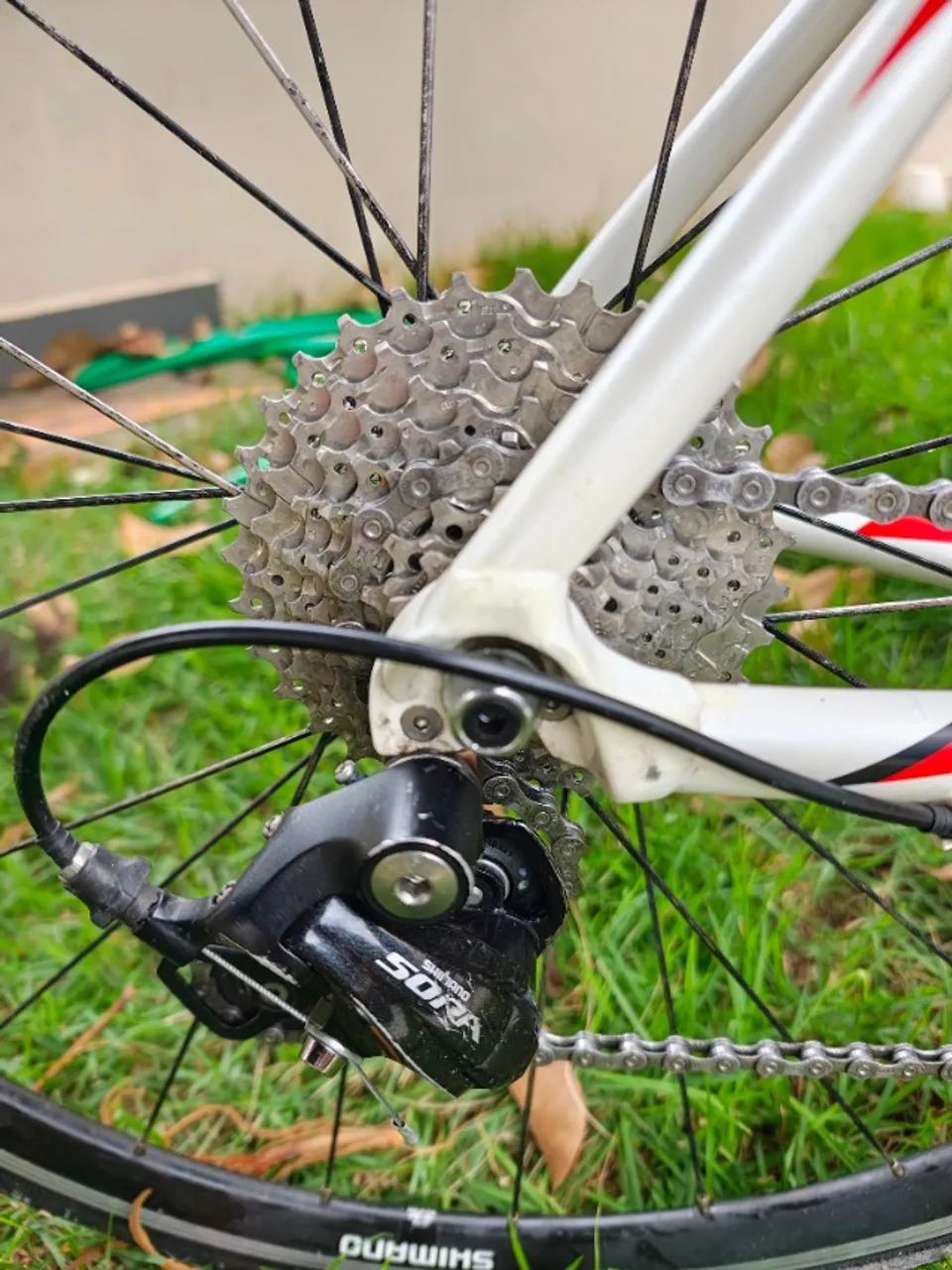 Vicini Roubaix Comp - Speed / Bike - Foto 2