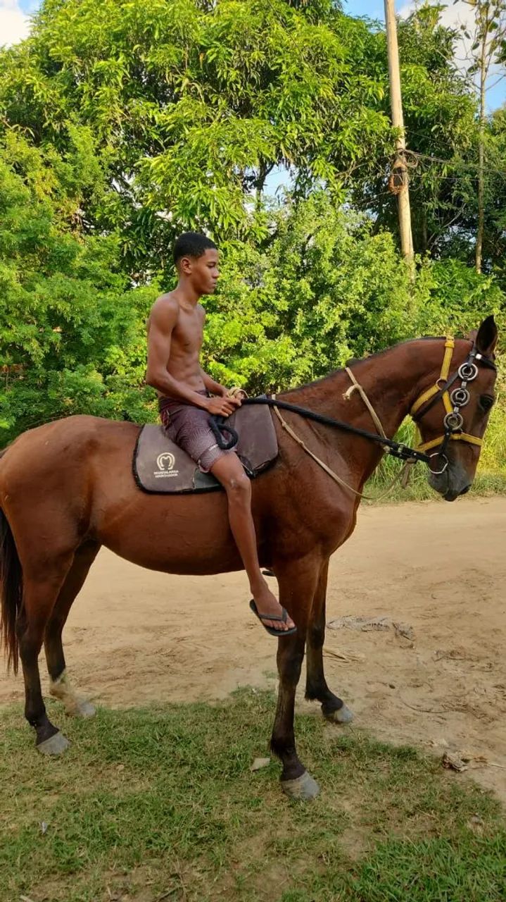 Vendo ou troco - Foto 3