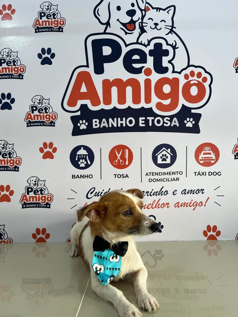 Pet shop  - Foto 2