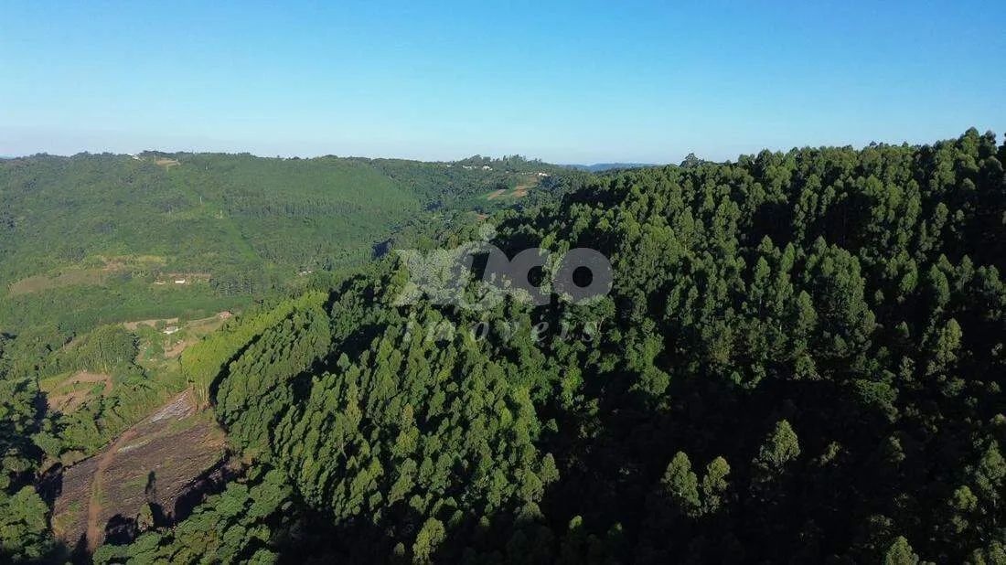 SÍTIO EM NOVA PETRÓPOLIS / RS - Foto 4