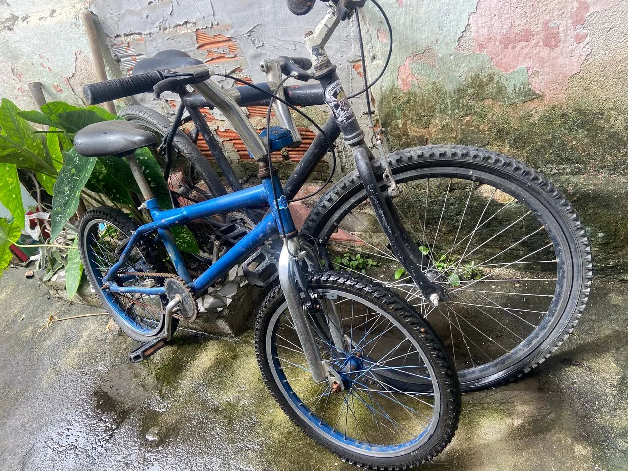 AS DUAS BICICLETAS - Foto 2