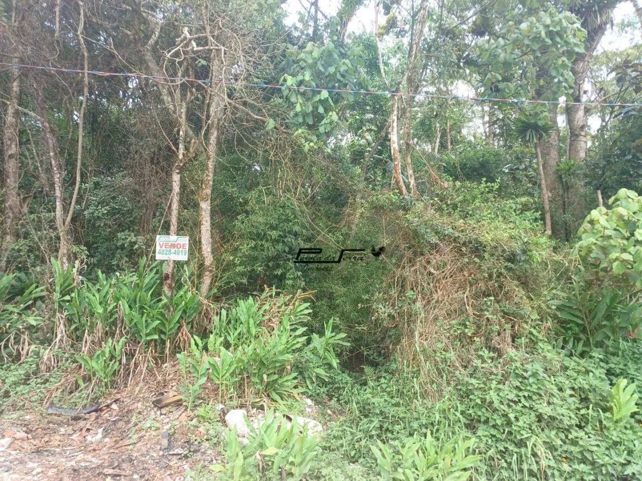 Terreno à venda em Rio Grande da Serra/SP - Foto 2