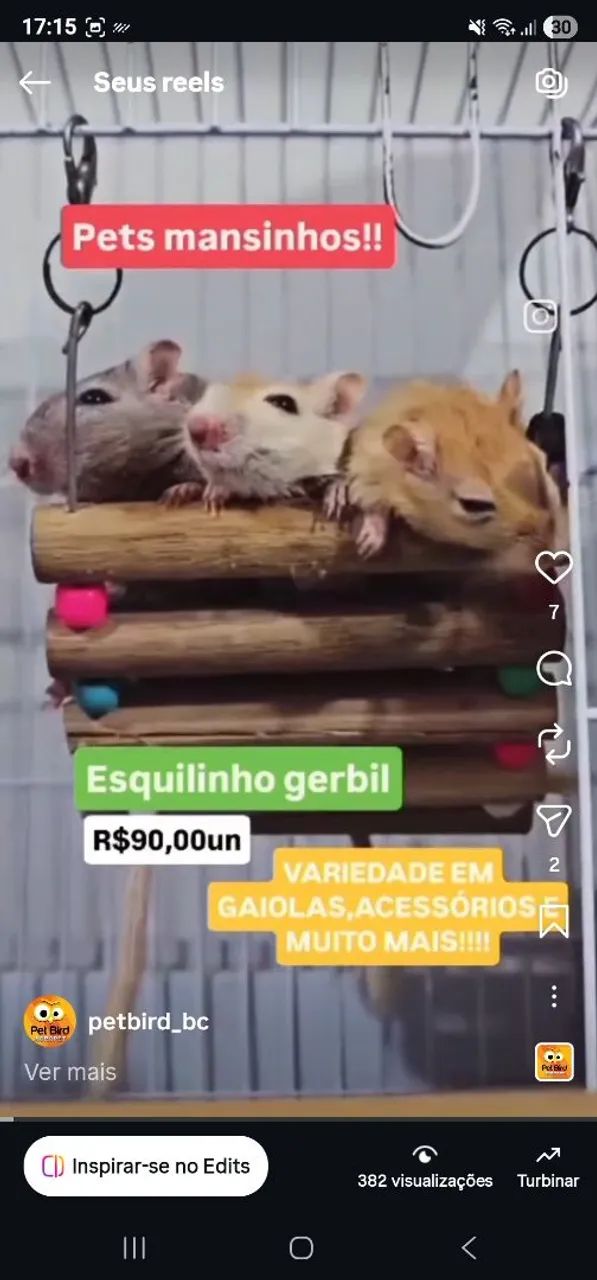 Hamster gerbil twister  PET BIRD AGROPET BALNEARIO CAMBORIÚ - Foto 6