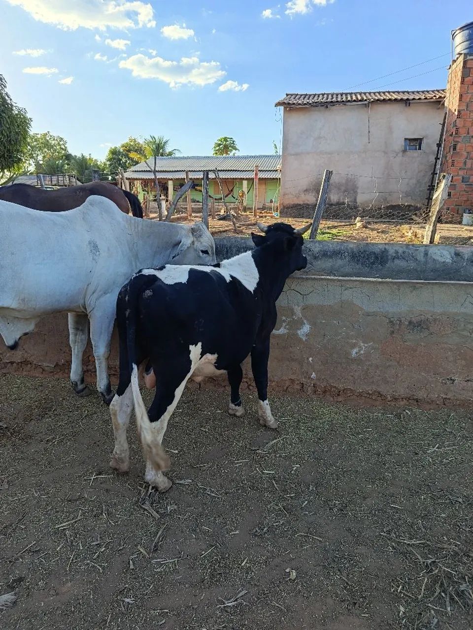 vendo ou troco  - Foto 5