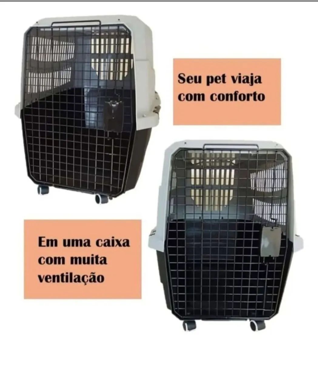 CAIXA TRANSPORTADORA DE PET EXG - Foto 3
