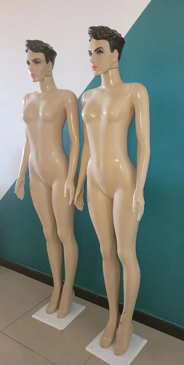 Manequin e busto 