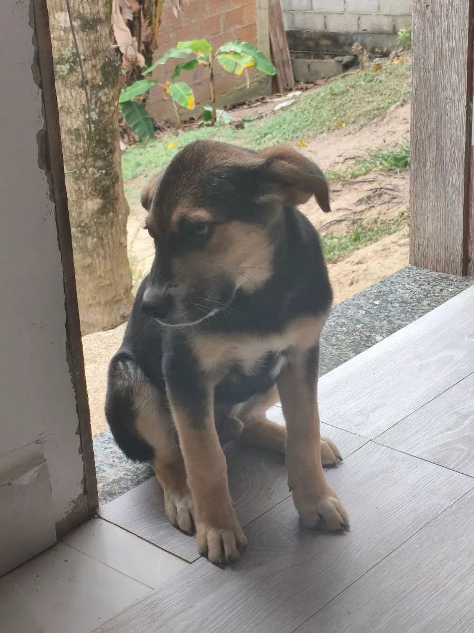 Doação 