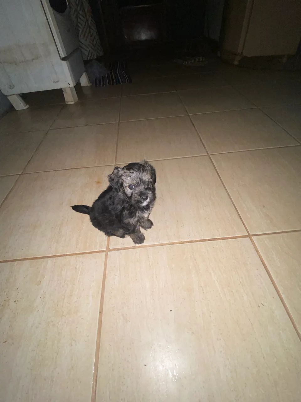 Doação 