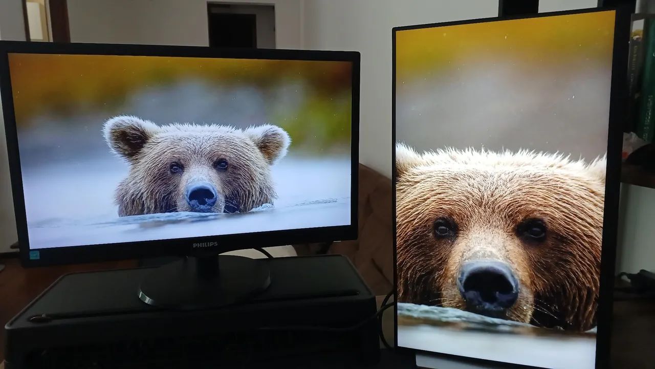 1 ou 2 Monitores de 22 polegadas, já com cabo HDMI, 60Hz e resolução 1920x1080