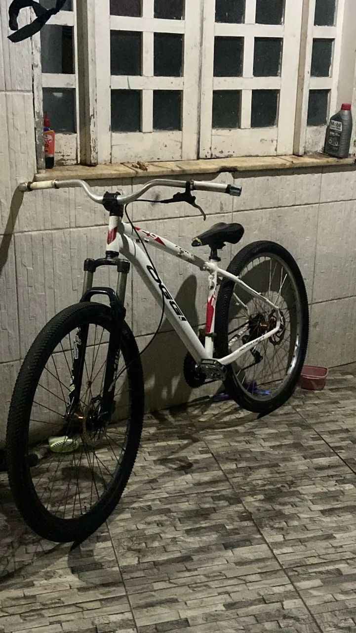 Oggi aro 29 - Foto 3