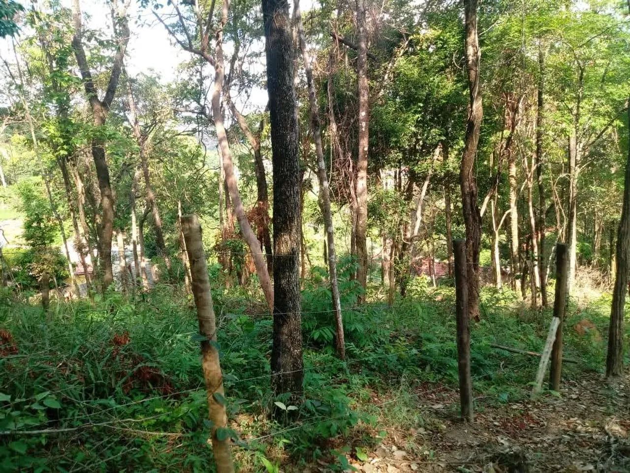Chácara para venda ou troca - Foto 5