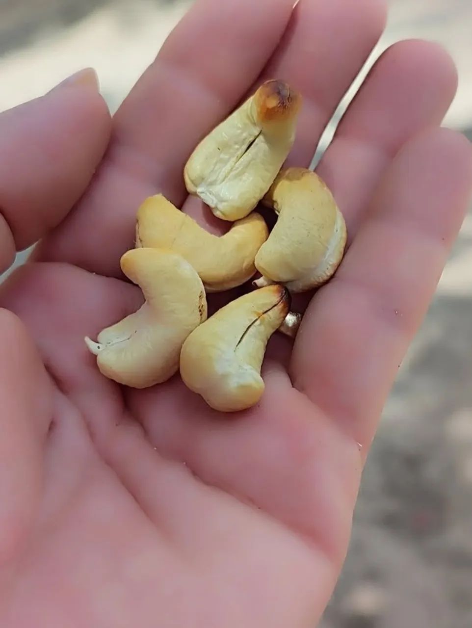 Castanha de Caju assada 