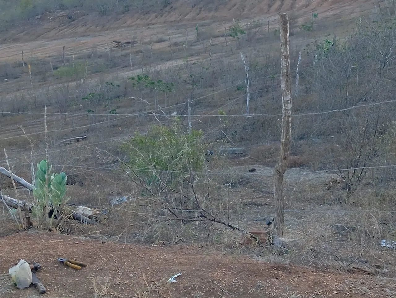 Terreno em Pão de Açúcar  - Foto 5