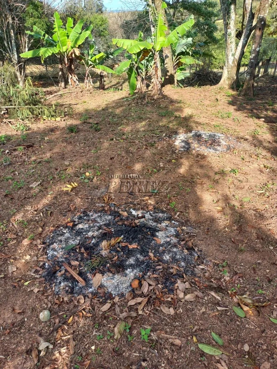 Terreno à venda em Curiúva - Foto 5