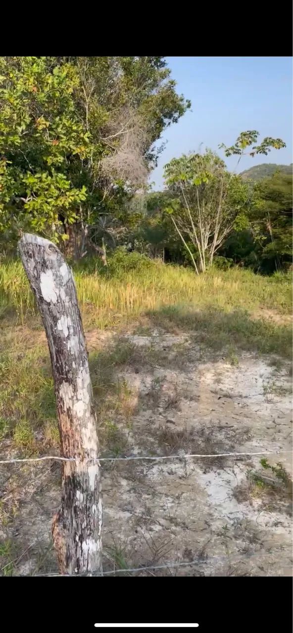 Terrenos e casa em área de praia - Foto 3