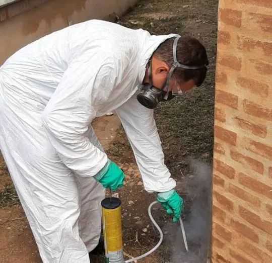 DEDETIZAÇÃO EM GERAL AMBIENTES RESIDENCIAS E COMERCIAIS. - Foto 4