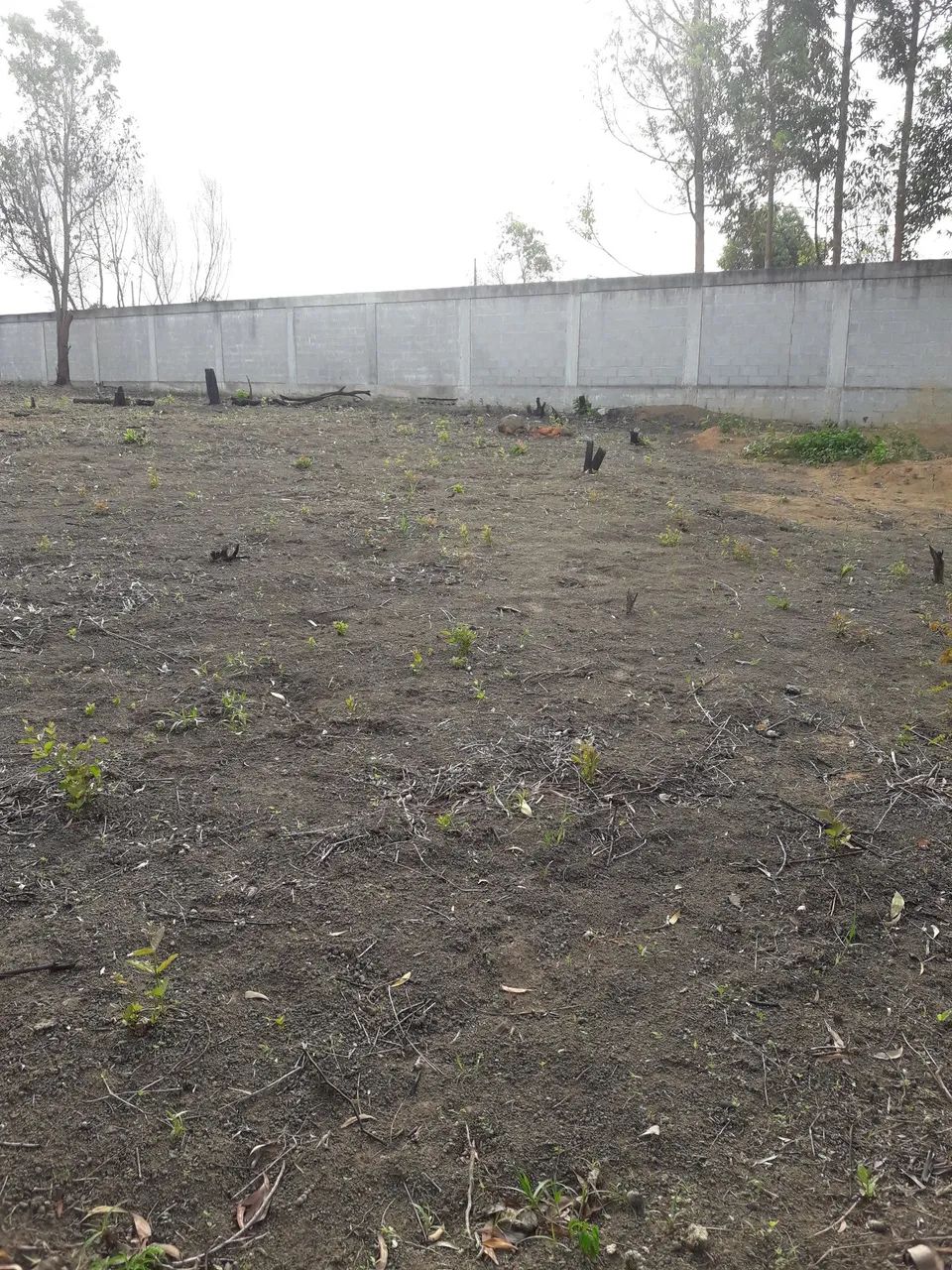 Quadra Lotes Jacaraípe 5.233m2 - Foto 5