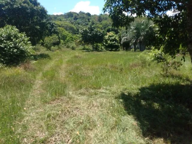 Foto - Salinas da Margarida - 