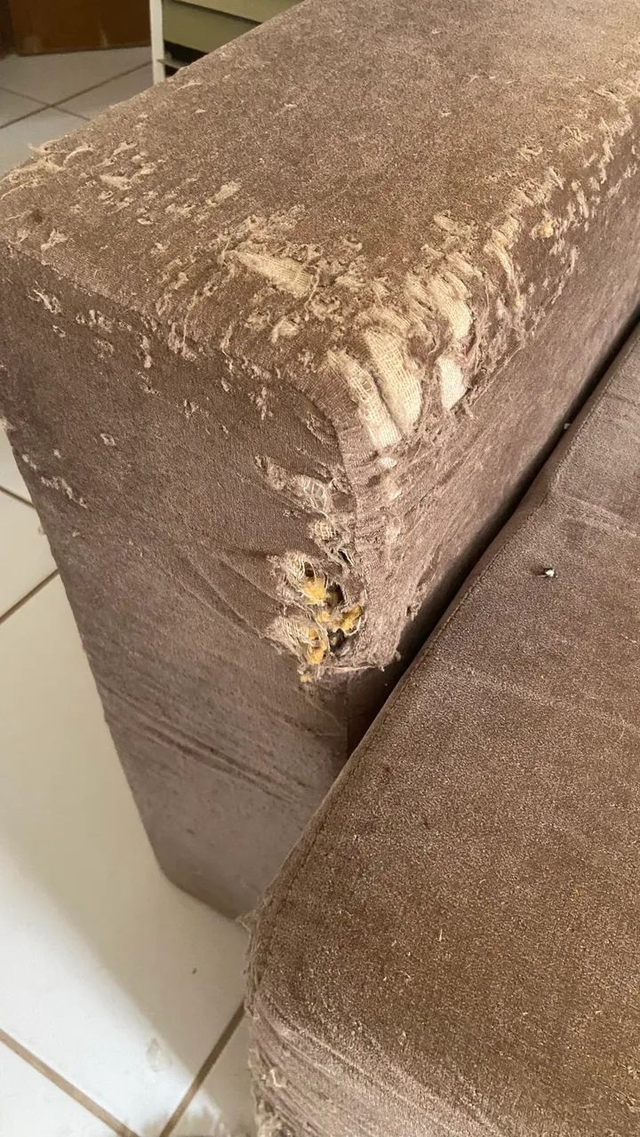 Sofá cama  - Foto 4