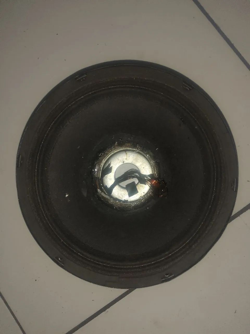 Carcaça de Médio Magnum rex 