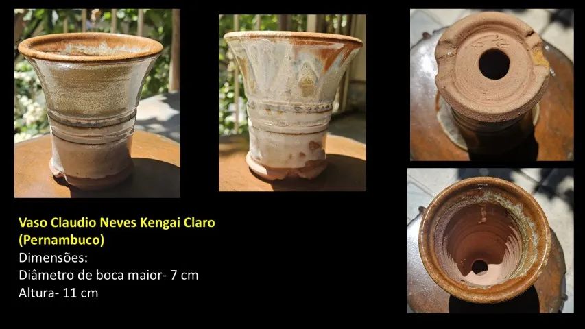 Conjunto 5 Vasos Bonsai Cerâmicos  - Foto 3