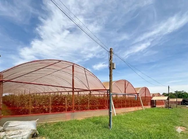 Sítio em Itápolis/SP com 48.400m², 2 Casas, Tanques de Peixe e Estufas - Foto 2