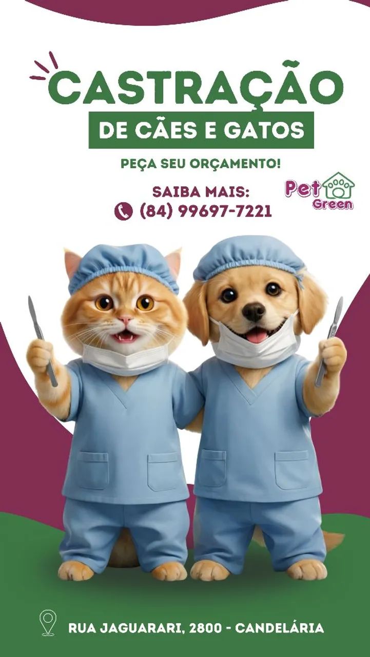 Castração de cães e gatos 