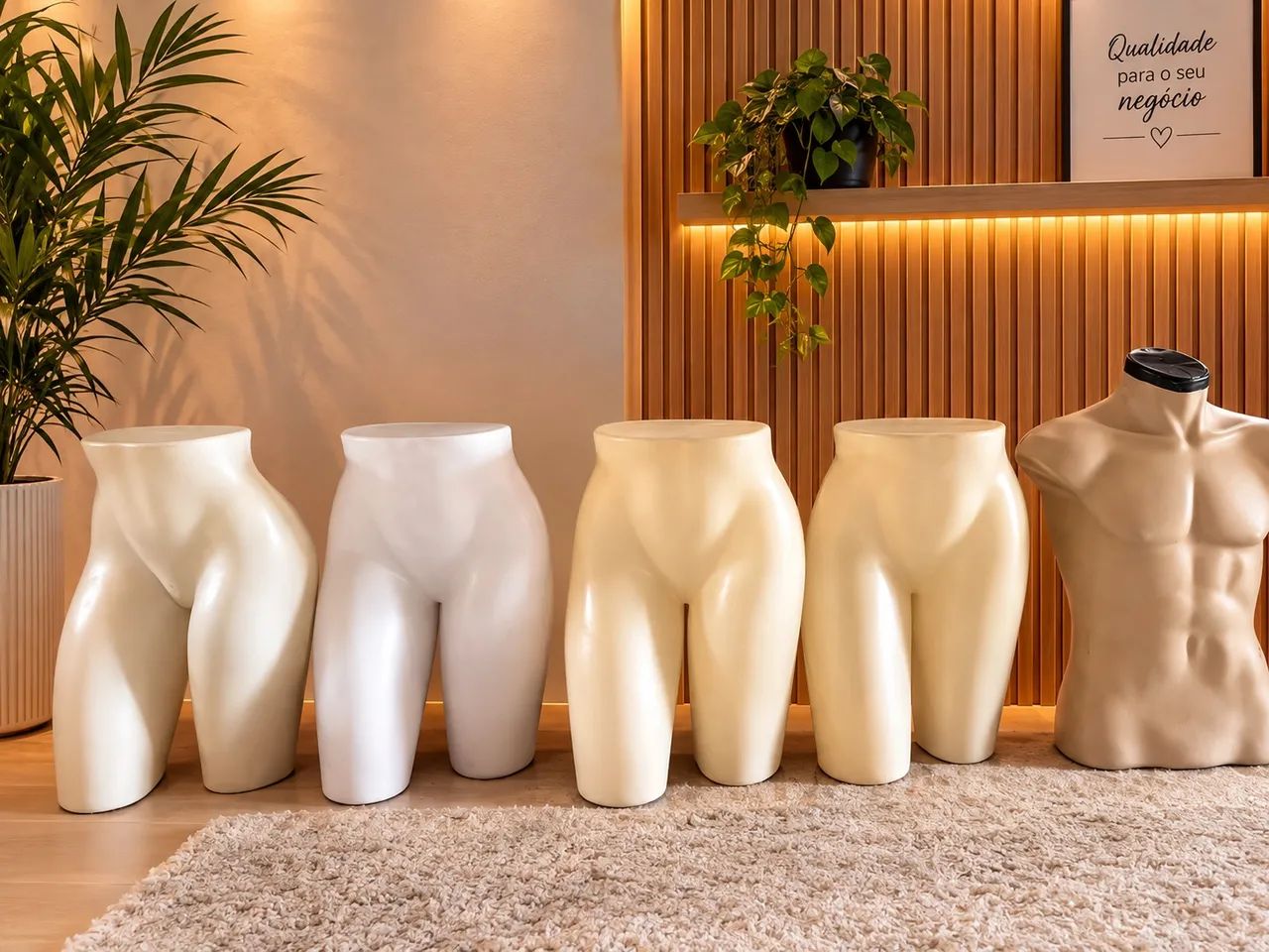 Manequins meio corpo 