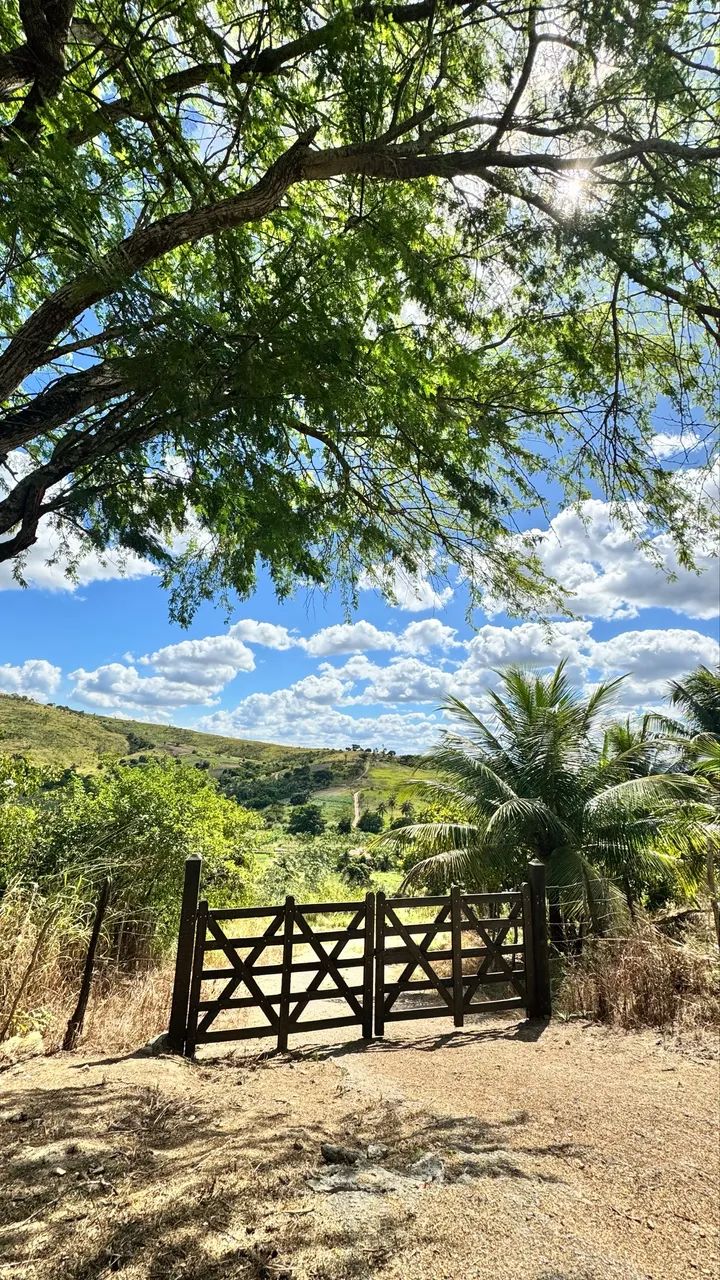 Foto - Vitória de Santo Antão - Redenção