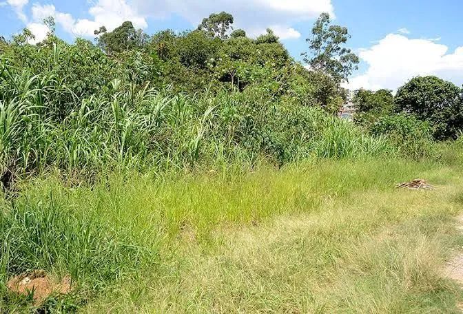 Foto - Barra Dos Coqueiros - 