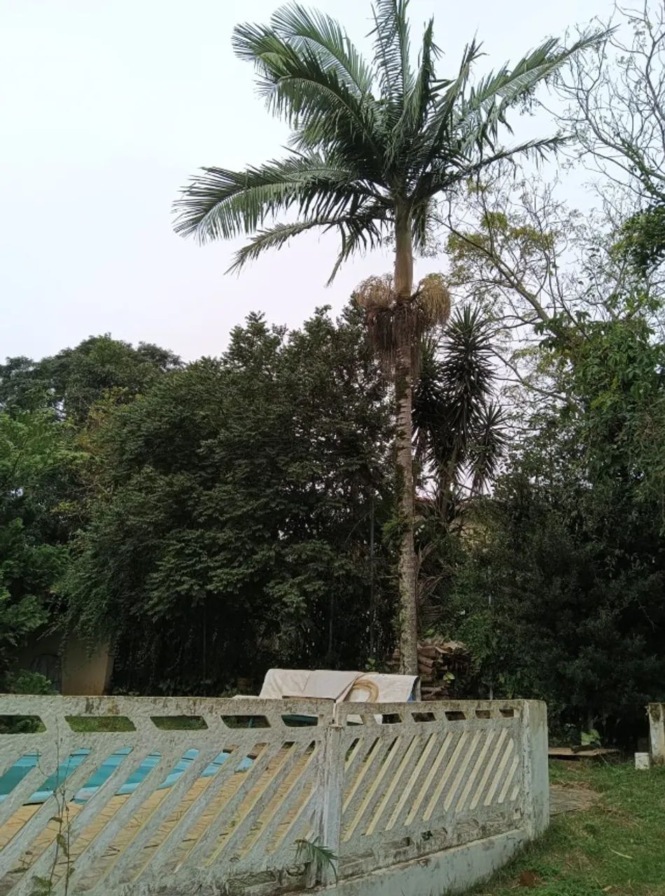 Chácara em Parque das Varinhas área 2100m2 - Foto 4