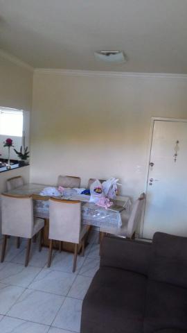 Apartamento de 3q todo reformado, no palmeiras - Foto 3