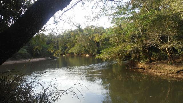 Pesqueiro Cond. da Barra - Rio Aquidauana com o Ceroula - Foto 13