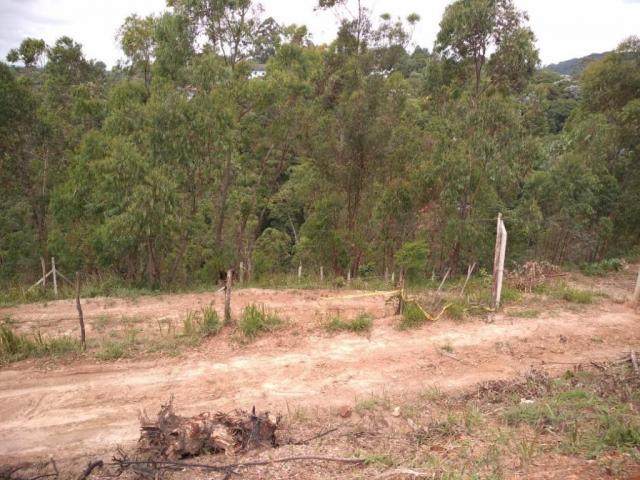 Terreno à venda, 1200 m² por R$ 80.000 - São Vicente - Mairiporã/SP - Foto 6