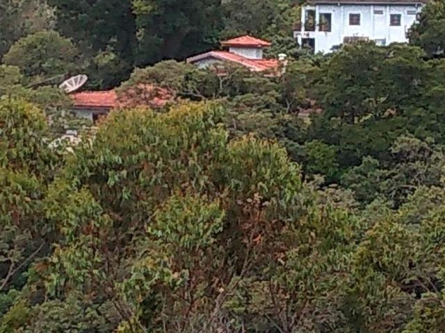 Terreno à venda, 1200 m² por R$ 80.000 - São Vicente - Mairiporã/SP - Foto 7