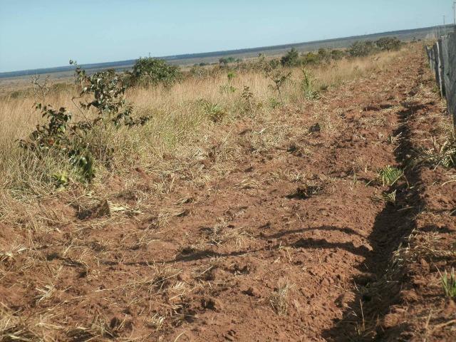 Linda Fazenda em Mato Grosso - em Conquista D´oeste - MT - Foto 15