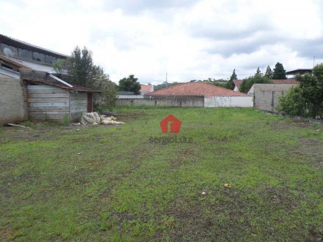 Terreno Comercial para Locação na Vila Santa Terezinha em Almirante Tamandaré - Foto 4
