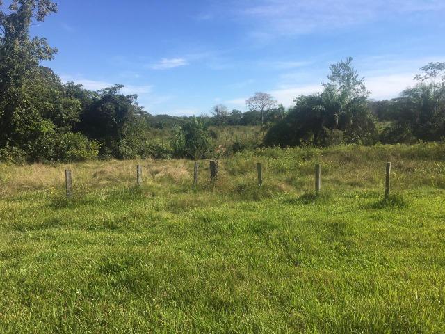 Sítio na Comunidade Carrijo à 60 Km do Trevo do Lagarto - Foto 3