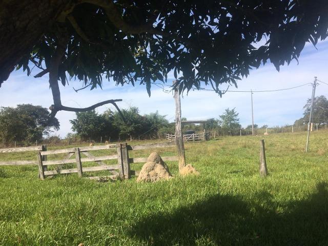 Sítio na Comunidade Carrijo à 60 Km do Trevo do Lagarto - Foto 5