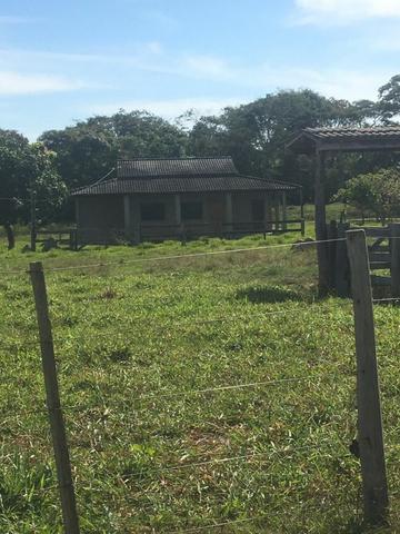Sítio na Comunidade Carrijo à 60 Km do Trevo do Lagarto - Foto 19