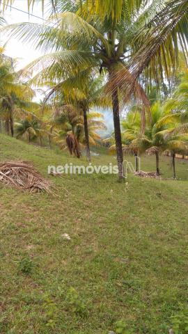 Sítio à venda em Arembepe, Camaçari cod:783794 - Foto 15