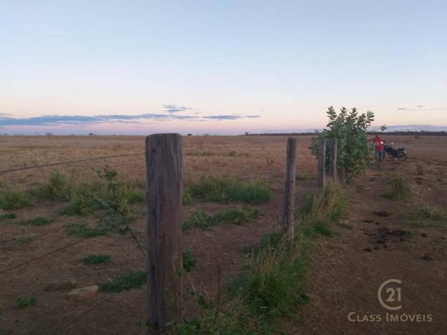 Fazenda à 98 km de guanambi | ba - Foto 4
