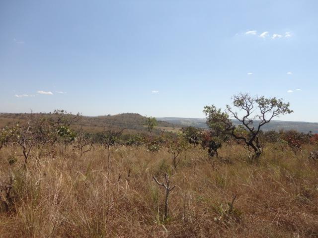 Área de Fazenda com 48 Hectares Localizado no Santo Antônio do Descoberto - Go - Foto 3
