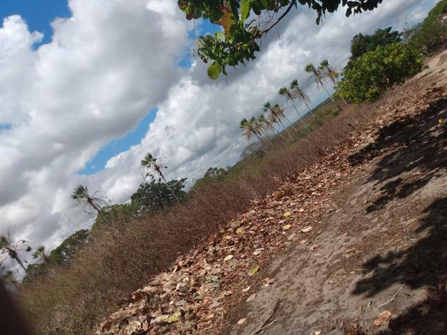 Terreno de 58 hactares com casa - Foto 11