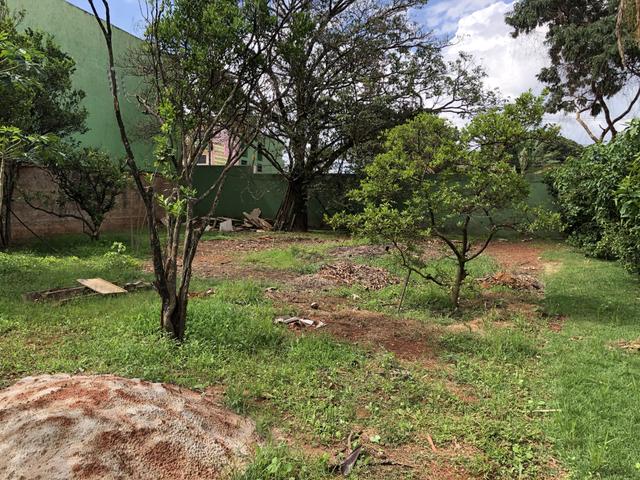 Excelente lote comercial 400 m rua 8 Vicente Pires - Foto 7