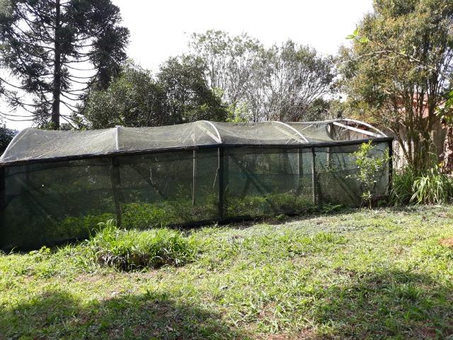Chácara em Contenda - Urbana - Foto 20