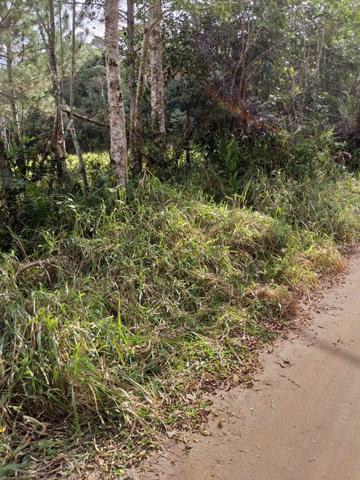 Terreno Excelente, Plano, Barato, Embura, 2.500m, R$ 40 Mil - Foto 4
