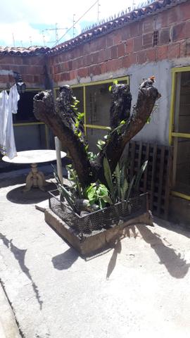 Duas casas grandes com 4 e 5 quartos mas 7 pontos comerciais para vender na iputinga - Foto 8
