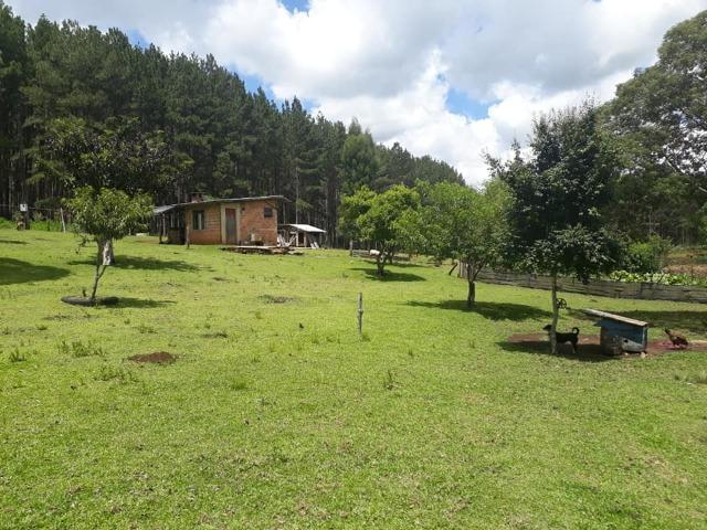 Linda Chácara 24.200 m2 ( 1 Alqueire) com 2 Casas - Palmas PR - Foto 19